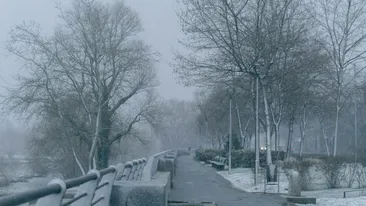 Prognoza meteo azi, 14 ianuarie 2026. Frig accentuat și ger în majoritatea regiunilor, ceață în unele zone