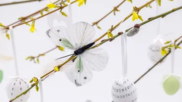 Interdicții pentru Sâmbăta Mare. Ce nu au voie credincioșii să facă înainte de Învierea Domnului