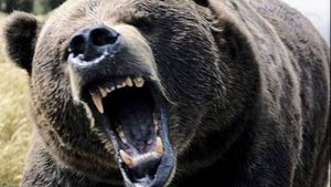 Bărbat din Vrancea, găsit mort pe un deal, existând suspiciunea că a fost ucis de un urs