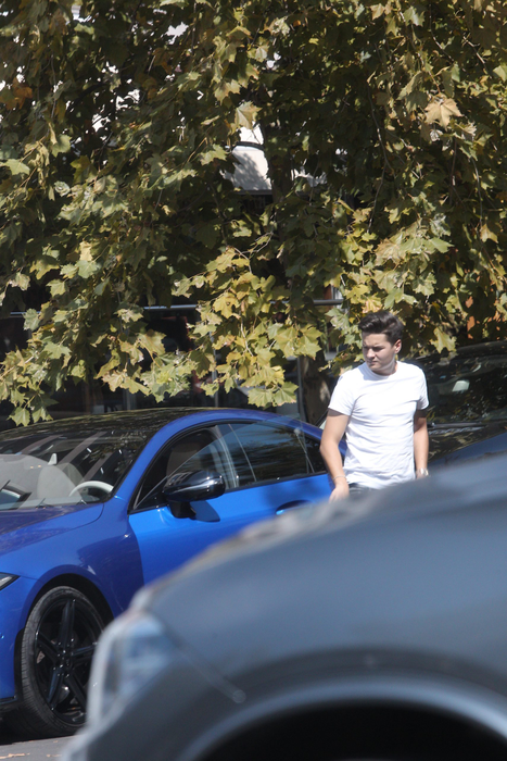 Selly si-a parcat masina mai bine și ulterior a stat de vorba cu un fan