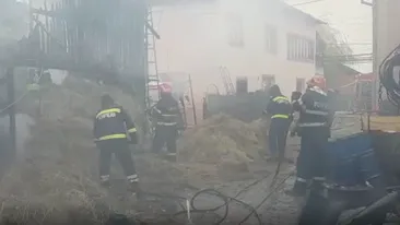 Incendiu violent la un adăpost de animale din Argeș. Zeci de porci au fost carbonizați