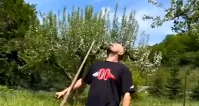 Galerie foto - poza 3