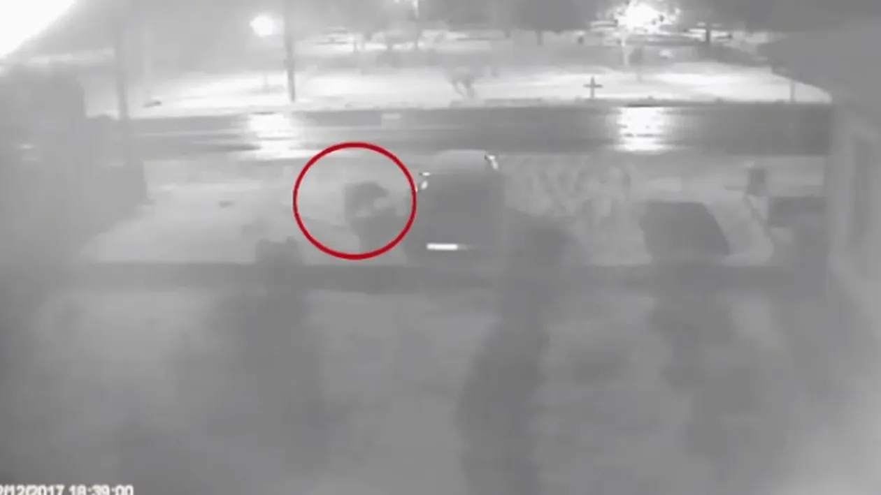 Un urs se plimbă nestingherit pe străzile unei comune din Argeş! Localnicii au intrat în panică