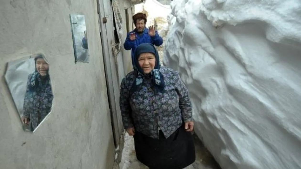 Am găsit câinele mort, înghețat în picioare! -38.5 grade în România și 17 oameni morți