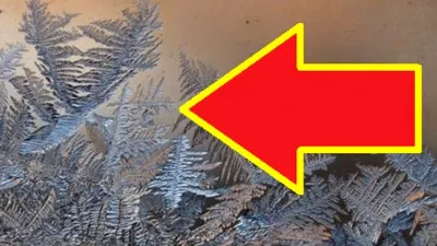 Ce înseamnă când vezi flori de gheață pe geamuri?