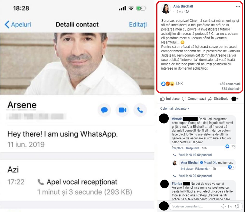 Ionel Arsene și Ana Birchall, scandal teribil în politica din România! “Curcă securistă și urâtă cu spume” VS “exemplu de grobianism”
