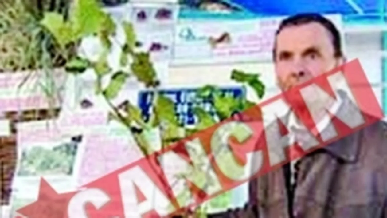 Taranii folosesc doar 800 de cuvinte