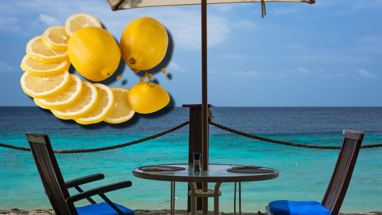 Suma ireală plătită de un turist pentru o felie de lămâie, într-un restaurant din Costinești: „Se întreabă lumea de ce pleacă în alte țări în sezonul estival”