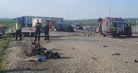 Galerie foto - poza 2