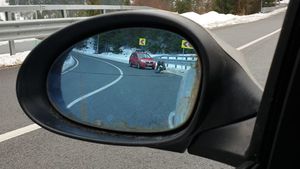 Caz șocant în Maramureș! Un câine a fost împușcat în fața unui copil de 6 ani