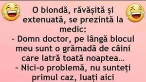 BANC | "Doctore, lângă blocul meu sunt mulți câini, care latră toată noaptea"