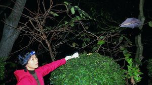 Cine a aruncat coronavirusul în lume?! Cum a apărut noul Covid-19, de fapt