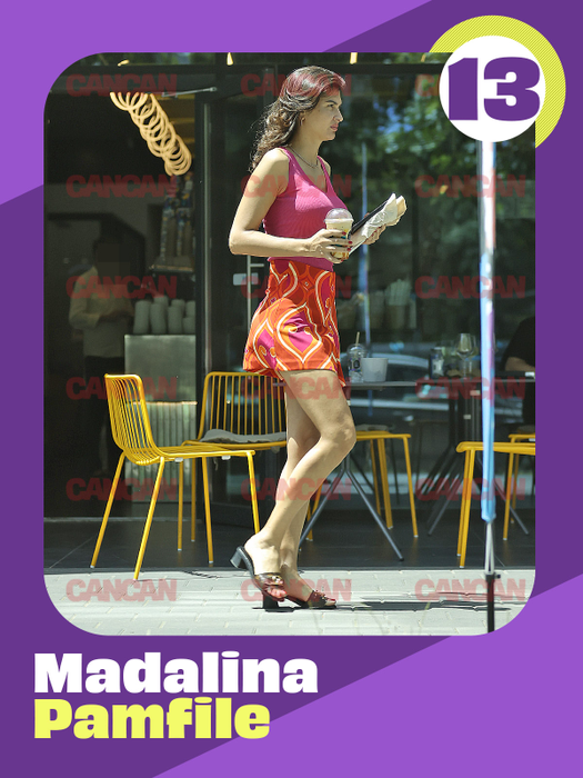 13 Madalina Pamfile nemachiata (1)