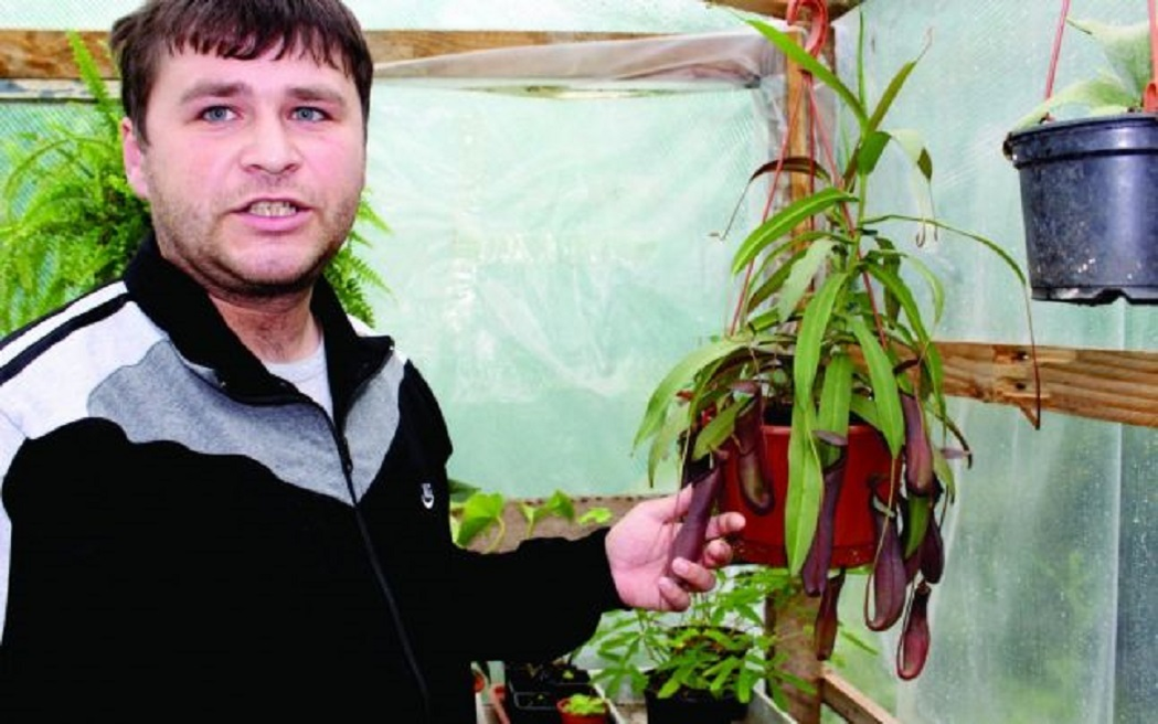 Prima plantă carnivoră a primit-o cadou de la logodnica lui