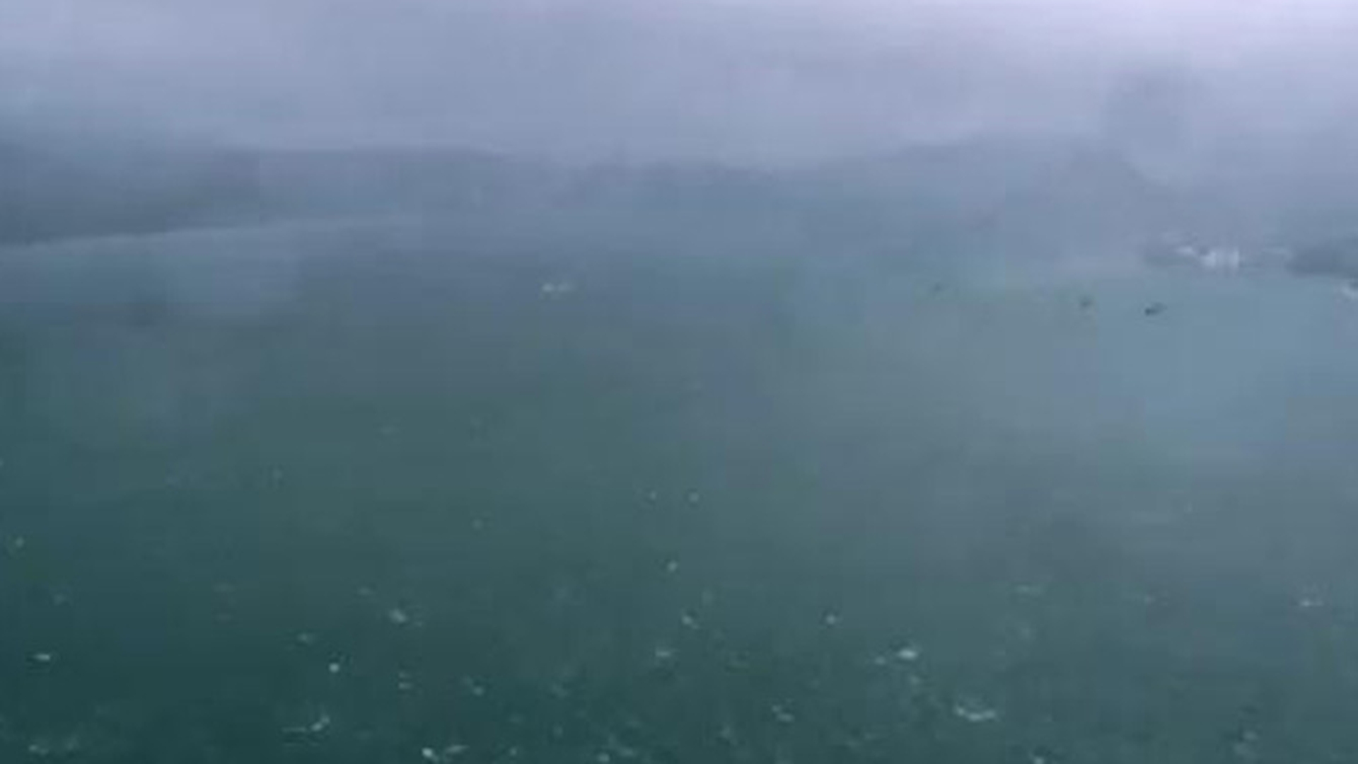 Peste 100 de raniti si sute de copaci rupti, dupa trecerea taifunului Vicente pe langa Hong Kong