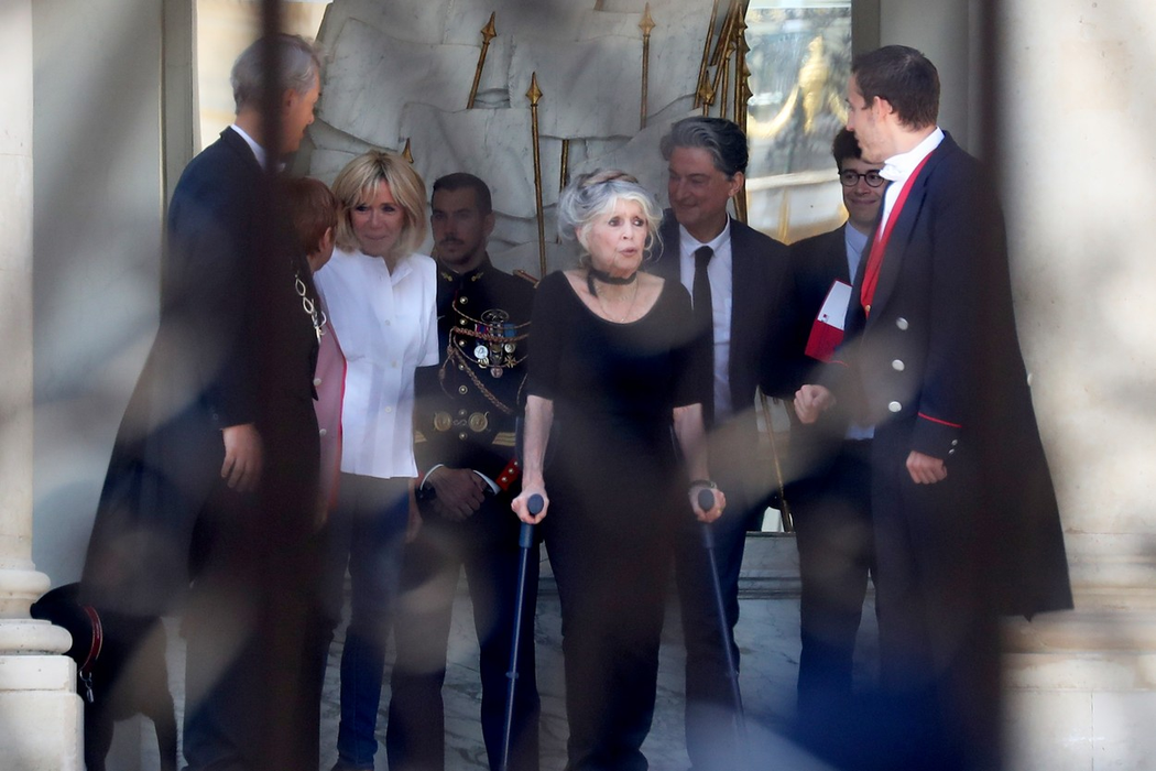 Clipe cumplite pentru Brigitte Bardot. Cea mai frumoasă actriță a Franței din toate timpurile se zbate între viață și moarte