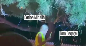 Galerie foto - poza 4