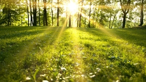 Vremea se încălzește! Prognoza meteo pentru următoarea perioadă. Cum va fi de Paște