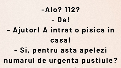 BANCUL ZILEI | "Ajutor! A intrat pisica în casă"