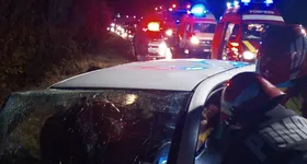 Galerie foto - poza 3