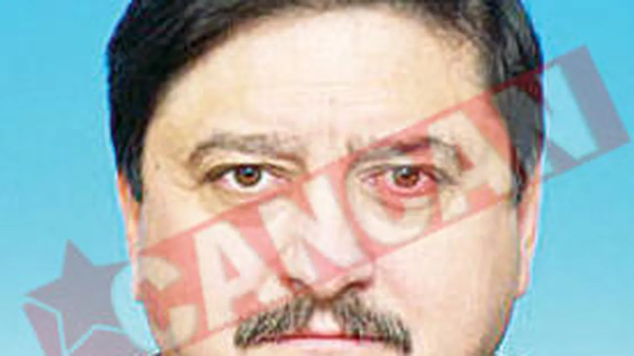 Guvern fara stolojenisti