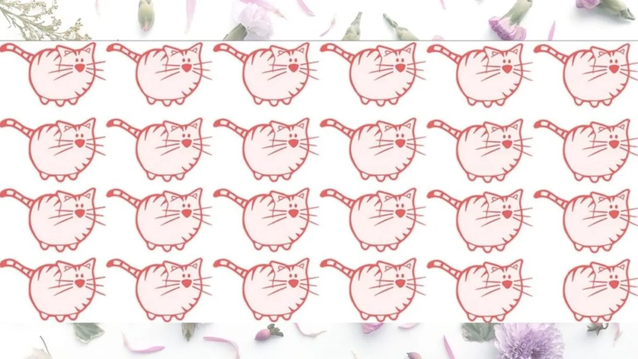 Test de logică | Găsiți singura pisică diferită de toate celelalte!