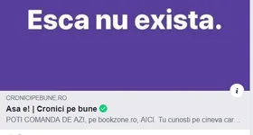 Galerie foto - poza 1