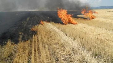 Ultima oră. Incendiu de vegetație în Vrancea. Mai mult case au fost cuprinse de flăcări