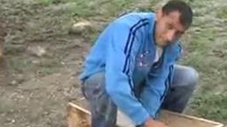 VIDEO O fetita de un an si o luna a murit inecata intr-o groapa cu fecale!