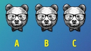 Test de logică | Care urs este diferit de ceilalți doi?