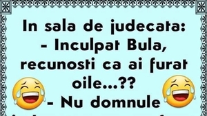 BANC | "Inculpat Bulă, recunoști că ai furat oile?"