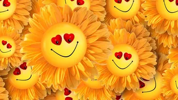 Bancul Zilei | Un tip intră in dormitor și își întreabă jucăuș soția. Finalul este nebunesc