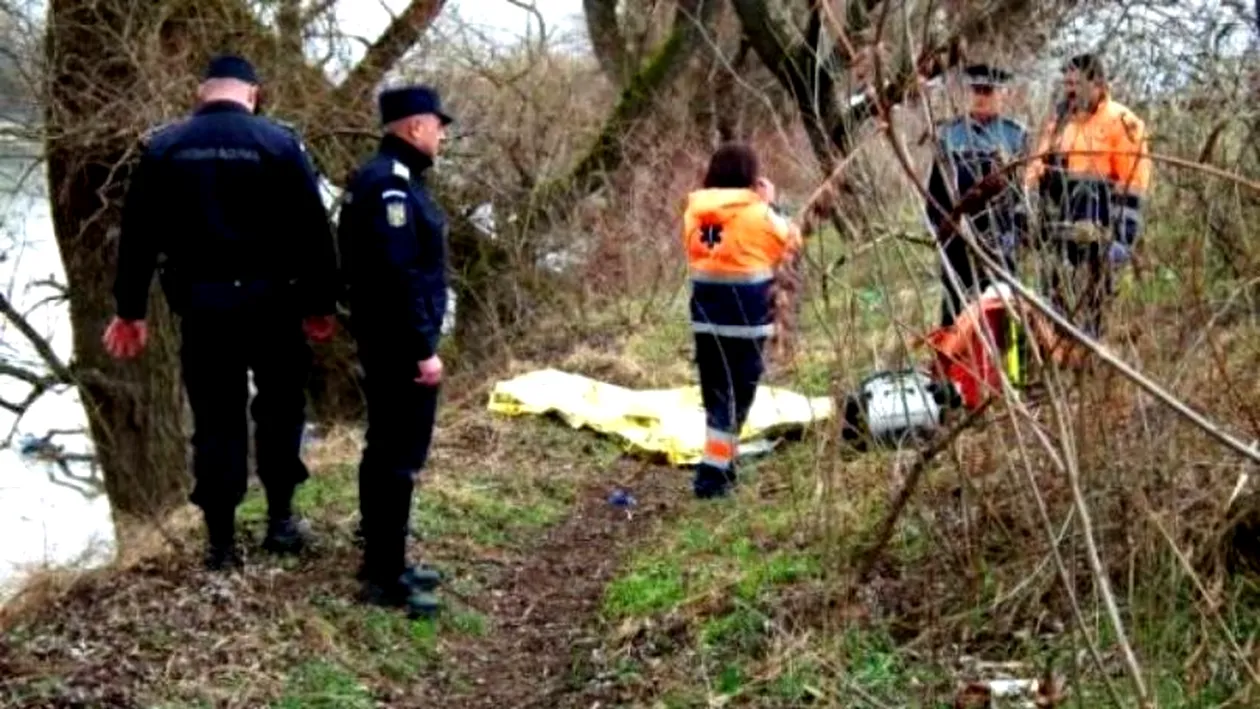 Descoperire macabră într-o pădure din Sălaj! Un bărbat a murit, după ce a fost sfâșiat de mai mulți câini