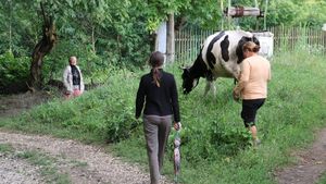Un bărbat din județul Iași este acuzat că a vrut să-și violeze soția. Ce i-a făcut acesta când femeia l-a refuzat
