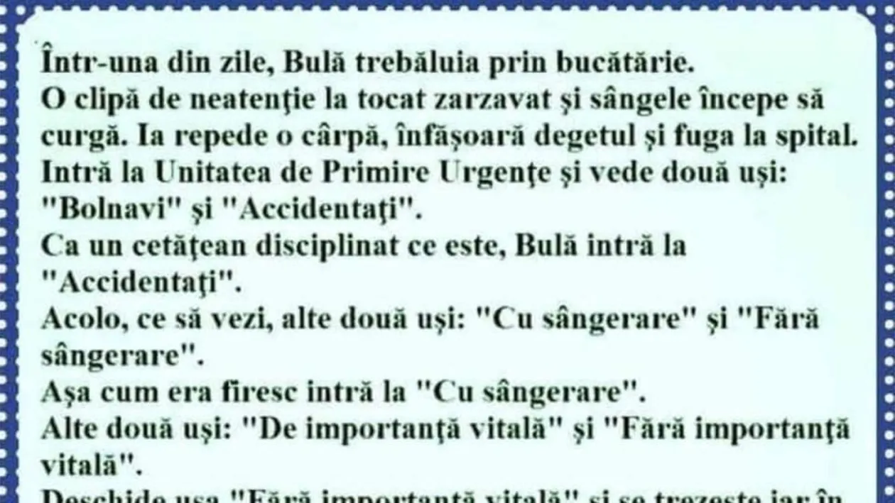 BANC | Într-o zi, Bulă trebăluia prin bucătărie