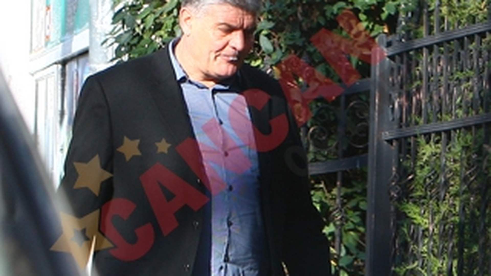 "Falcosul" mesteca si scuipa