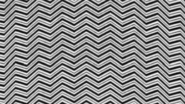 Iluzie optică virală | Doar 1 din 100 de oameni pot vedea ce animal se ascunde în această imagine