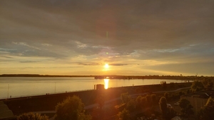 VIDEO | Imaginile care au șocat TikTok-ul! Ce a găsit un bucureștean pe Lacul Morii