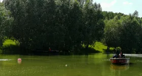 Galerie foto - poza 2