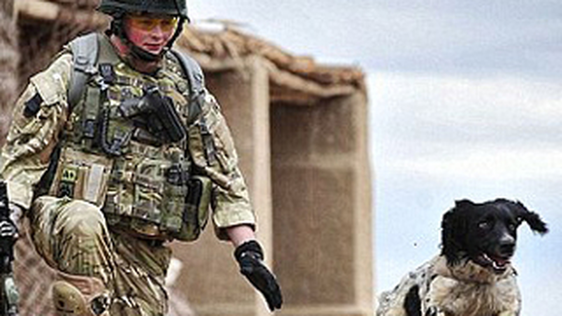 Cainele unui soldat ucis in Afganistan a murit de inima rea