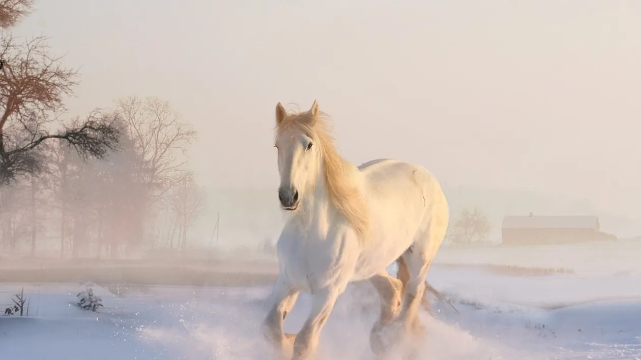 Prognoza meteo pentru perioada 26 noiembrie – 9 decembrie. Iarna pune stăpânire pe România