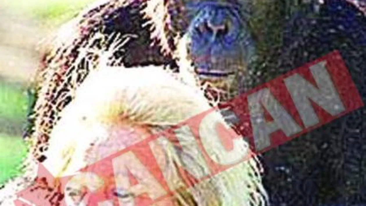 Animale multimilionare