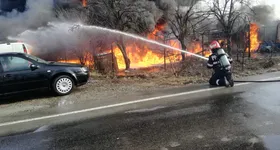 Galerie foto - poza 3