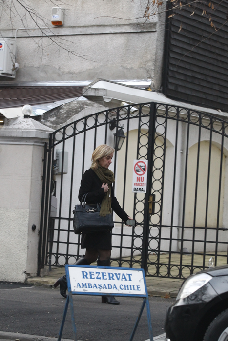 Ambasadoarea Olandei, Stella Ronner Grubacic, nu prea obişnuieşte să stea la birou