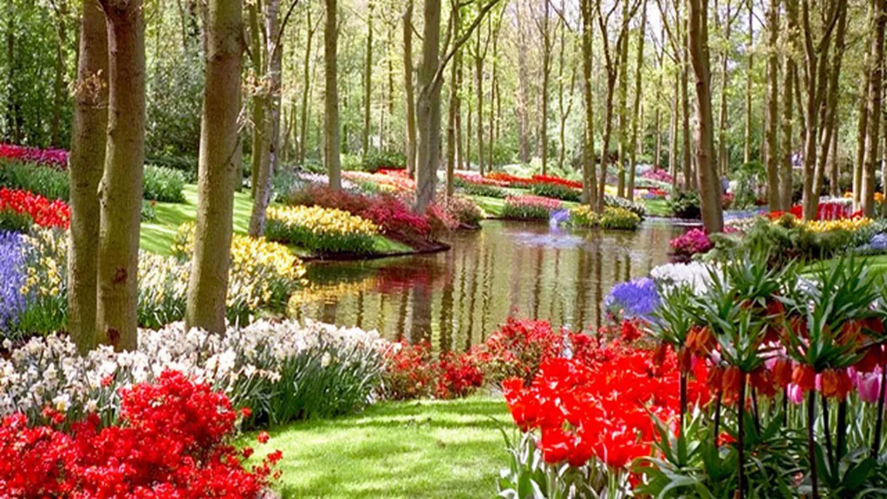 Vine primavara in Romania! Cum va fi vremea in urmatoarele doua saptamani