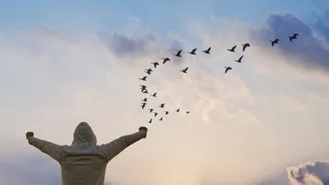 TOP 10 vedete din România care au văzut moartea cu ochii