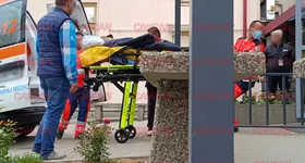 Galerie foto - poza 2