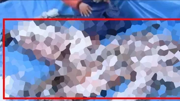 MONSTRU MARIN, prins de pescarii JAPONEZI