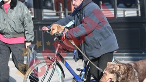 Si-a dresat cainele sa mearga pe bicicleta