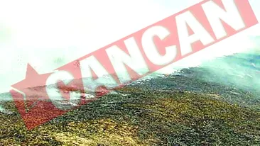 Sute de hectare de teren agricol, distruse de incendii